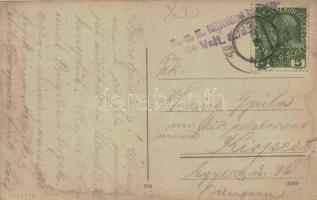 Linz an der Donau; Promenade gegen Taubenmarkt / K.u.K. military censorship cancellation on backside...