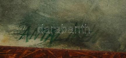 Antal Irén (1903-1999): Skót juhász. Akvarell, papír, jelzett, üvegezett keretben, 32×33 cm