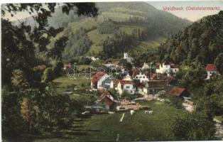 Waldbach, látkép / general view (EK)