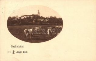 Székelyhíd, Sacueni; látkép tehenekkel / general view with cattle (EB)