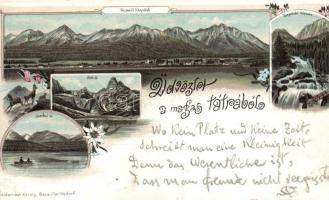 1897 Tátra, Tatra; Központi Kárpátok, Zöld tó, Csorba tó, Tarpataki vízesés / central Carpathian mountains, lakes, waterfall; floral, litho (tűnyom / pinhole)