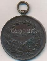 1917. "Károly Bronz Vitézségi Érem" Br kitüntetés mellszalag nélkül. Szign: Kautsch T:2 ph...