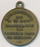 Hollandia 1874. "III. Vilmos uralkodásának 25. évfordulója" Cu érem füllel (23mm) T:2-,3
...