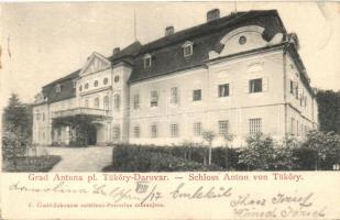 Daruvár, Daruvar; Tükőry kastély / castle (EK)