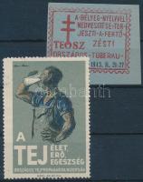 1946 TEOSZ + A tej élet, erő, egészség 2 db levélzáró