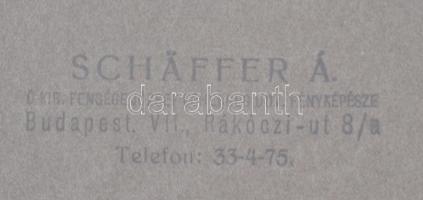 cca 1930 Katonai csoportképe, kartonra kasírozva, Schäffer Fotó, 18x23 cm, karton 25x33 cm