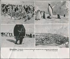 cca 1980 Vegyes MTI fotó tétel, különböző minőségben és méretben, 9db, cca 26x20cm