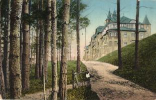 Tátralomnic, Tatranská Lomnica; A Nagyszálló, erdei ösvényről nézve, szemeteskosár / view of the Grand Hotel from forest path, trash can (EK)