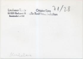 Kunhalom vasútállomás mozdony, Linzbauer Tamás felvétele, pecséttel jelzett fotó, 10x14 cm