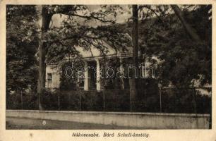 Budapest XVII. Rákoscsaba, Báró Schell-kastély (kis szakadás / small tear)