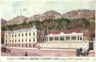 Budapest XII. Városmajor utca, Dr. Vaskovits-féle Szanatórium és Vízgyógyintézet (b)