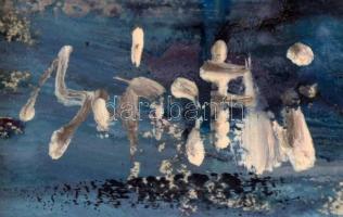 Bánfi jelzéssel: Vitorlások a mólónál. Olaj, karton, üvegezett keretben, 22×32 cm