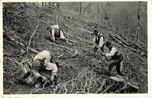 Kőrösmező, Jaszinya; Huculok tavasszal erdősítés közben / Hutsuls during reforestation (EK)