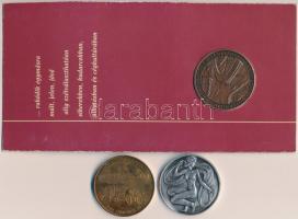 Fritz Mihály (1947-) 1984. "MÉE - Csongrád megye / Szeged felszabadulása" Br emlékérem (42...