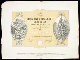 1942 Az Országos Erdészeti Egyesület tagsági oklevele nagybányai Nagy Jenő rendőrkapitány részére. Ritka. A szélek mentén kissé gyűrődött. 50x38 cm.