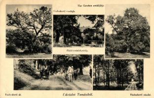 Tamási, Vadaskerti csodafa, Vas Gereben emlékfája, Miklósvári-kastély, Vadaskerti út, Vadaskerti részlet, kiadja Ipolyi Mór (EB)