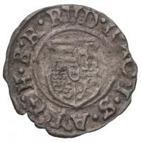 1589K-B Denár Ag "Rudolf" (0.44g) T:2- ph.
Huszár 1059., Unger II. 811.a