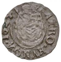 1624KB Denar Ag "II. Ferdinánd" (0.42g) T:2- Unger I: 916.b, Huszár: 1203.