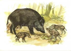 7 db motívum képeslap, vadász lapok, 1 db régi és 6 db modern lap, bélyeggel és alkalmi bélyegzéssel...