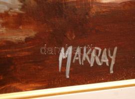 Makray János (1955-): Őszi Balaton II. Olaj, farost, jelzett, keretben, 25×40 cm