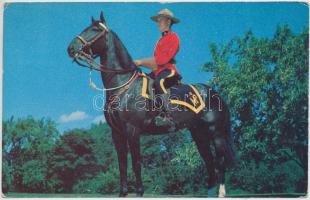 1 doboznyi MODERN képeslap, városképes és motívum lapok vegyesen, magyar és külföldi lapokkal, néhán...