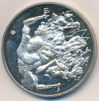 DN "Magyar-Orosz Gázipari Rt. - Panrusgáz" peremen jelzett Ag emlékérem per dísztokban (36...