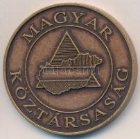 DN "Magyar Köztársaság / Magyar Polgári Védelem - A lakosság védelméért" Br emlékérem ered...