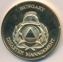 DN "Belügyminisztérium Országos Katasztrófavédelmi Főigazgatóság" aranyozott fém emlékérem...