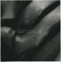 cca 1985 Molnár-Csikós Virág: Fény, felület, anyag című sorozatából 3 db jelzés nélküli vintage fotó...