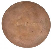 Várhelyi György (1942-) 1979. "Ünnepi Könyvhét 1929-1979" Br emlékplakett eredeti dísztokb...