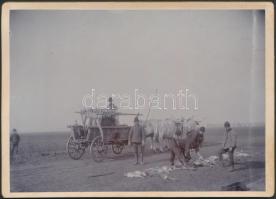 1902. november 23. Egy sikeres vadászat emlékére készült, feliratozott keményhátú fotó, 13x18 cm