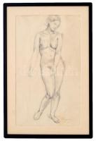 Varga Nándor Lajos (1895 -1978) : Álló akt. Ceruza, papír, jelzett, keretben, 47×28 cm