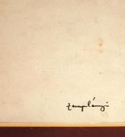 Zemplényi Magda (1899-1966): Eső közeleg. Tus, papír, jelzett, üvegezett keretben, 27×38 cm