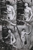 cca 1970 Találkozás az erdei tündérrel, 7 db korabeli, finoman erotikus felvétel modern nagyítása, 15x10 cm  / 7 erotic photos, 15x10 cm