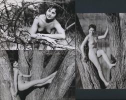 cca 1970 Találkozás az erdei tündérrel, 7 db korabeli, finoman erotikus felvétel modern nagyítása, 1...