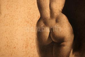 Olvashatatlan jelzéssel: Női akt háttal. Szén, papír (sérült), keretben, 43×27 cm