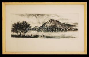 Nechánszky József (1936-): Visegrád. Rézkarc, papír, jelzett, üvegezett keretben, 17×48 cm