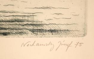 Nechánszky József (1936-): Visegrád. Rézkarc, papír, jelzett, üvegezett keretben, 17×48 cm