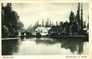 Jászberény, Vízimalom és tájéka (fa)