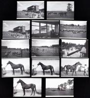 1967 Budapest, Galopp pálya, Kotnyek Antal (1921-1990) képriportja, 13 db korabeli negatívról készült modern nagyítás 15x10 cm-es fotópapíron