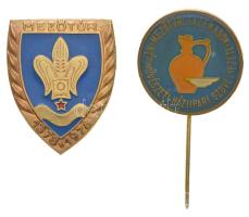 ~1980. "Mezőtúri Fazekasok Népművészeti Háziipari Szövetkezete" műgyantás fém kitűző + 1978. "Mezőtúr" zománcozott fém jelvény T:2