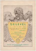 1959 Oklevél megfelelő minősítéssel az Országos kutyakiállításról. 30x21.