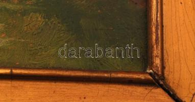 Dalnoky jelzéssel: Házak utcában. Olaj, karton, keretben, 19×22 cm