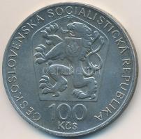 Csehszlovákia 1974. 100K Ag "Bedrich Smetana" T:2
Czechoslovakia 1974. 100 Korun Ag "...