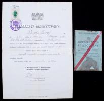 1942 Sínautóbusz kocsivezetői igazolvány, valamint vizsgálati igazolvány közúti vasúti sínautóbuszvezetői képesítésről.