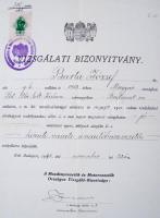 1942 Sínautóbusz kocsivezetői igazolvány, valamint vizsgálati igazolvány közúti vasúti sínautóbuszve...