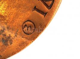 Marosits István (1943-) "Demény Pál 1901-1991" Br plakett (122mm) T:1 Feliratozott talppal...