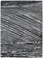 cca 1970 Zsigri Oszkár (1933-?): Lucerna betakarítás, feliratozott vintage fotóművészeti alkotás, kartonra kasírozva, 39x29 cm