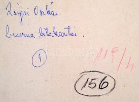 cca 1970 Zsigri Oszkár (1933-?): Lucerna betakarítás, feliratozott vintage fotóművészeti alkotás, ka...