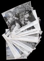 cca 1960-70 Vegyes, állatokkal kapcsolatos MTI fotók, 16db, különböző minőségben, 20x24cm